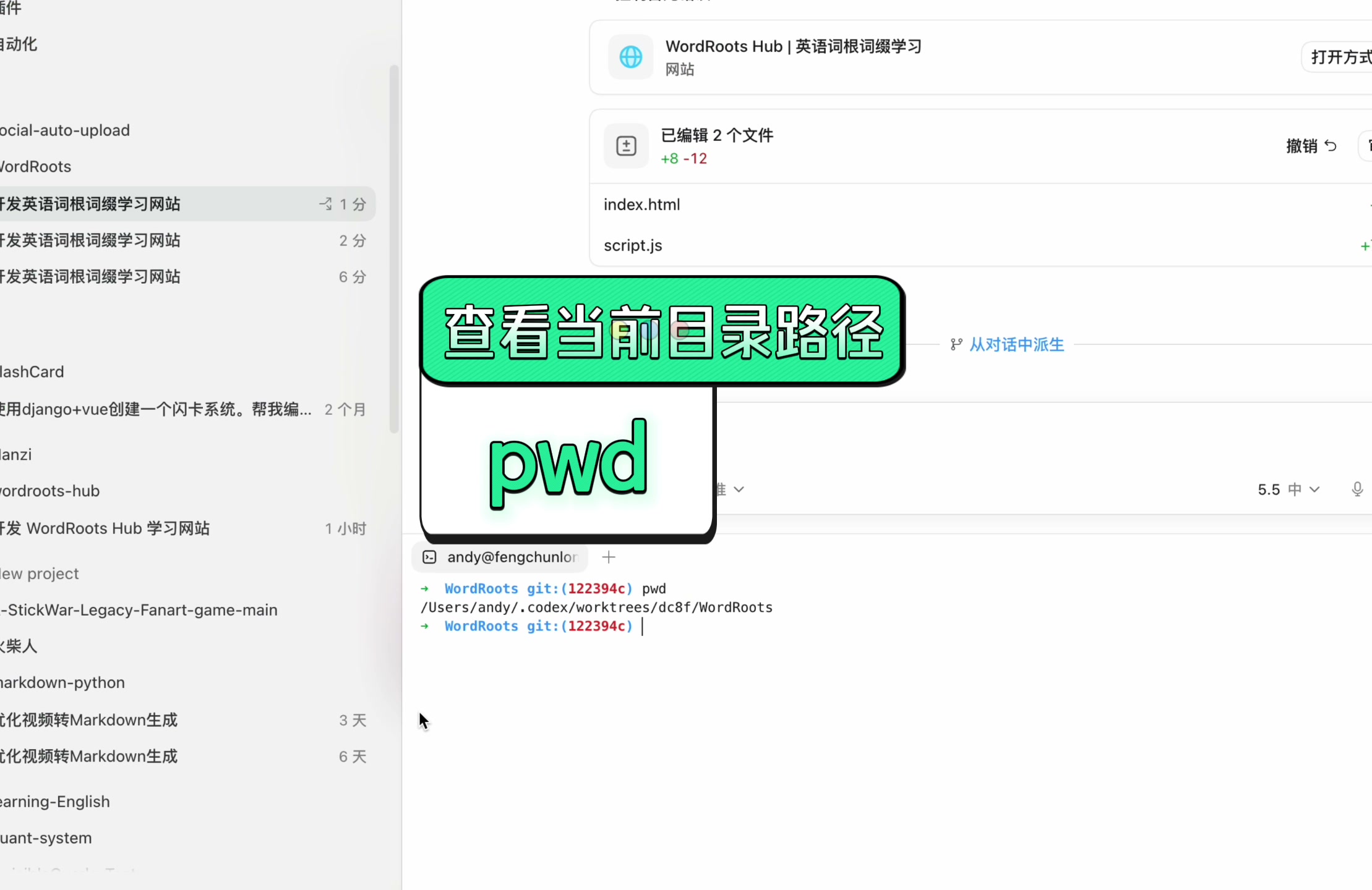 派生到新工作树后终端 pwd 显示的新目录路径